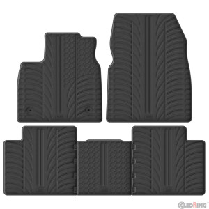 Rubber mats for Renault Megane Scenic III