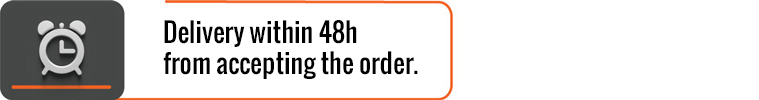 Delivery within 48h from accepting the order.