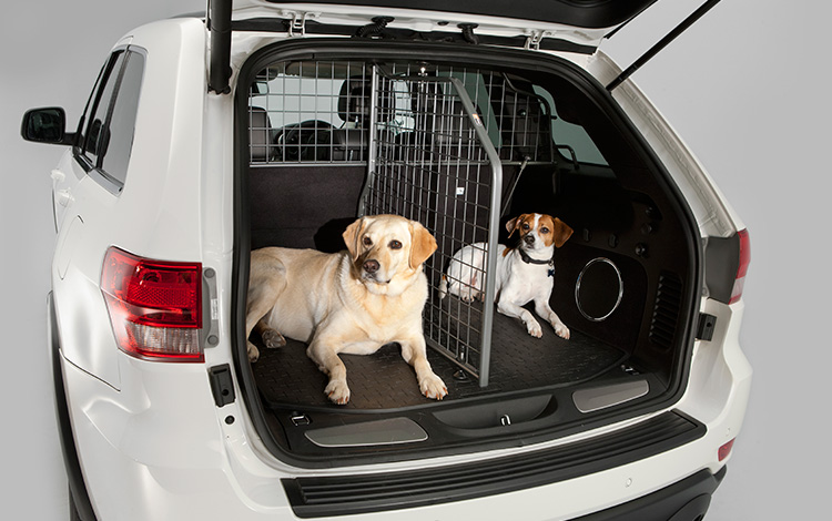 boot dividers